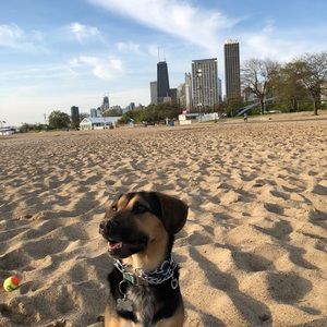 Meet your Posher, Ryne